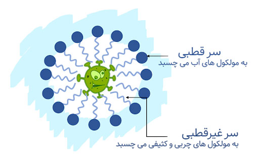 ساختار صابون