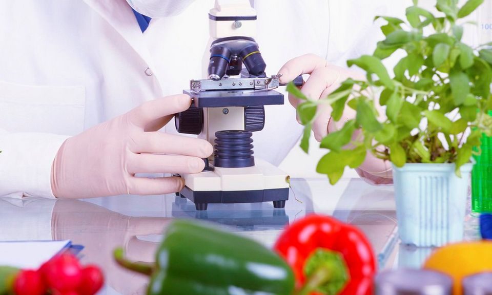 پرکاربردترین مواد شیمیایی غذایی