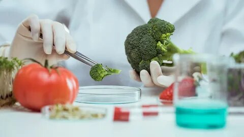 مواد شیمیایی خوراکی