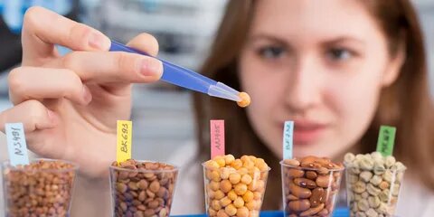 پرکاربردترین مواد شیمیایی غذایی