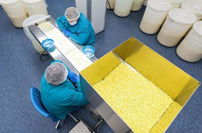 کاربرد اسید فسفریک در خوراک دام و طیور